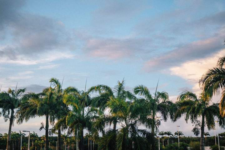 A VOTRE SERVICE TRANSPORT (1)